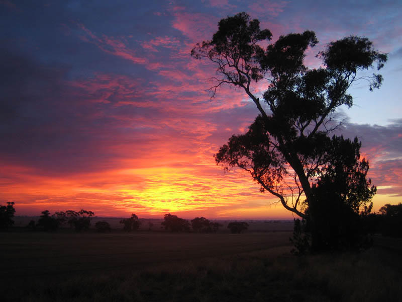 Sunrise somewhere in Australia