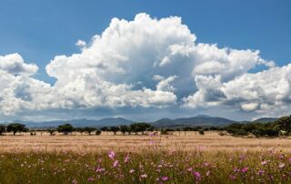 Large cloud over Mexican landscape. © Tomas Castelazo, www.tomascastelazo.com / Wikimedia Commons / CC BY-SA 4.0