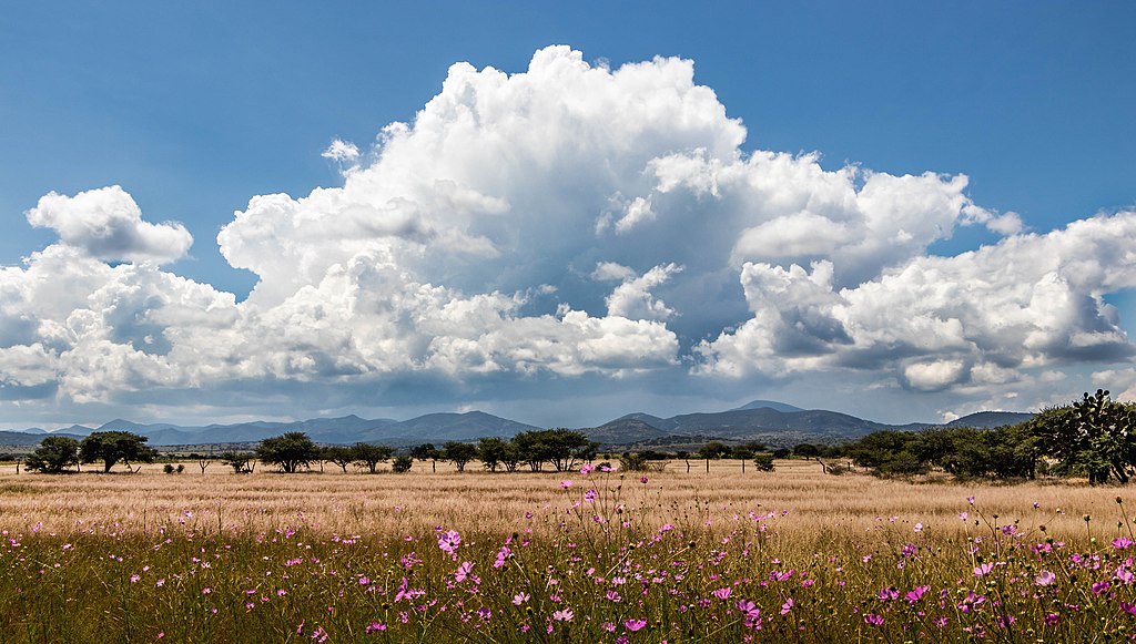 Large cloud over Mexican landscape. © Tomas Castelazo, www.tomascastelazo.com / Wikimedia Commons / CC BY-SA 4.0