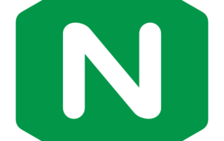 Nginx "N" Logo